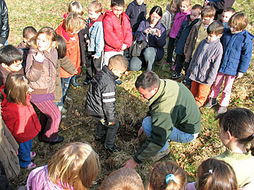 Maternelle de Brocliande