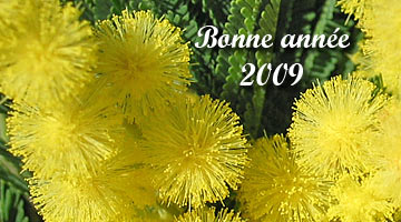 Bonne année 2009