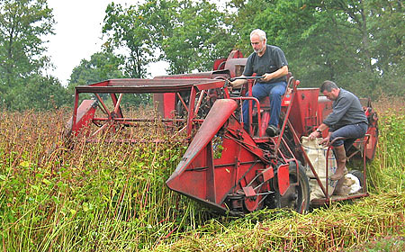 Moissonneuse Massey-Ferguson