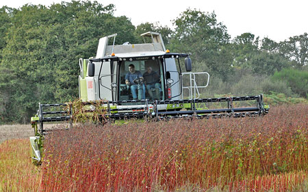 Class Lexion 650