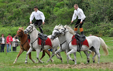 Aventure au galop 2