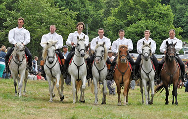 Aventure au galop 1