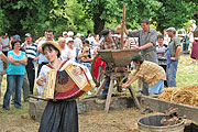 Fabrication du cidre, la pilerie