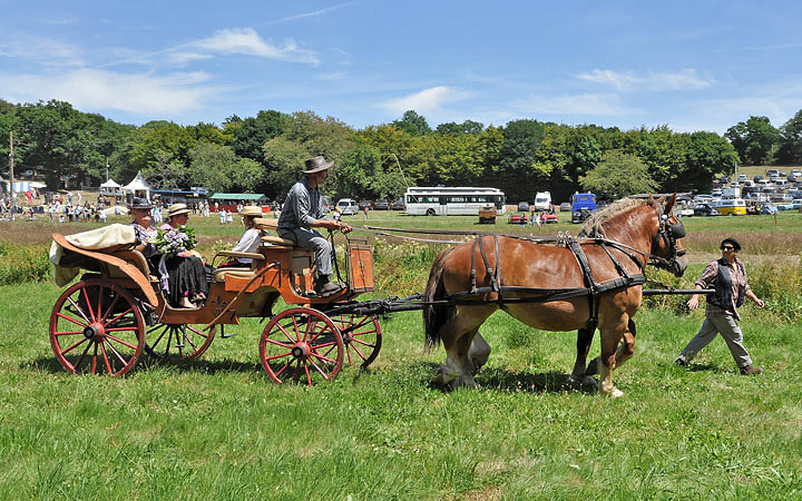 Album Cheval 2011