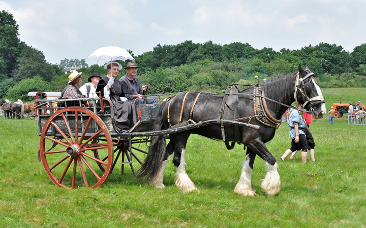Album Cheval 2013